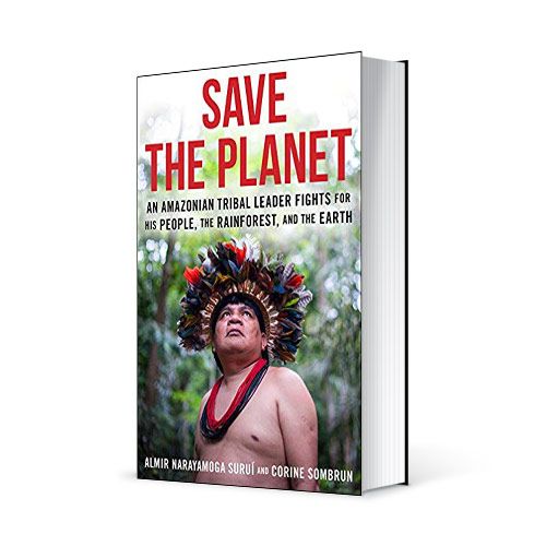 Photo du livre "Save the plane" de Corine Sombrun (Éd. Schaffner Press / 2018)